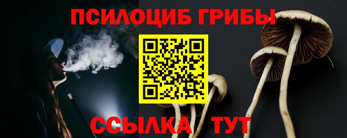 Галлюциногенные грибы Psilocybe  Вход с VPN  Воткинск 